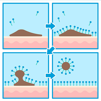 Ethoxylation is a chemical process where ethylene oxide reacts with amine, alcohol or phenol, acid, oil to produce ethoxylates or ethoxylated surfactant.